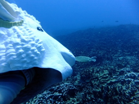 サイパン ダイビング