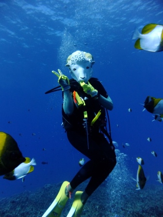サイパン ダイビング