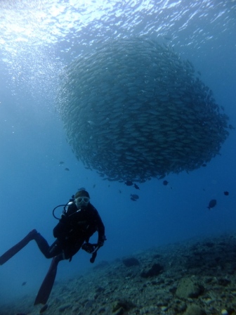 サイパン ダイビング