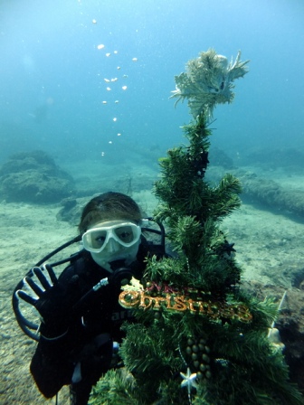 サイパン ダイビング