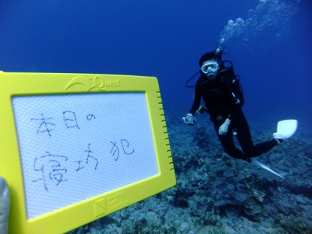 サイパン ダイビング