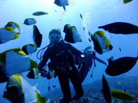 サイパン ダイビング