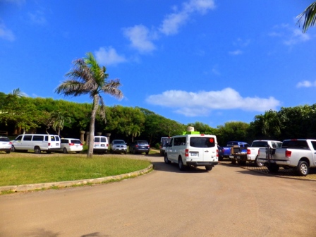 サイパン ダイビング