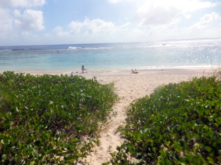 サイパン ダイビングショップ