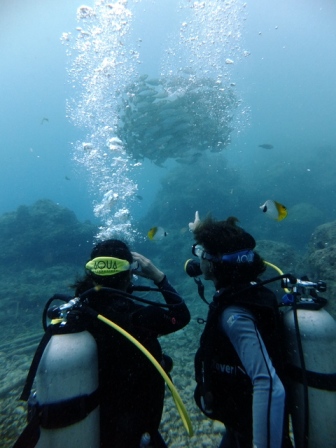 サイパン ダイビング