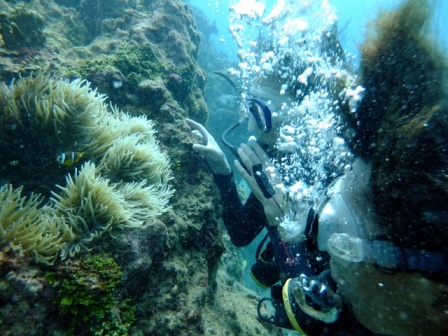 サイパン 体験ダイビング