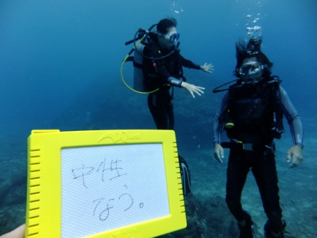 サイパン ダイビングライセンス