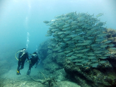 サイパン ダイビングショップ