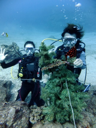 サイパン ダイビング