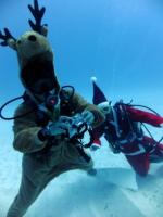 サイパン　ダイビング