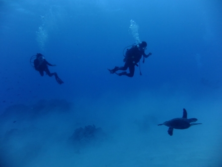 サイパン ダイビングライセンス