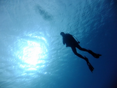 サイパン 体験ダイビング