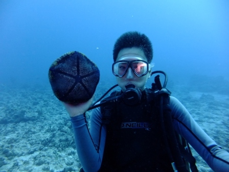 サイパン ダイビングライセンス