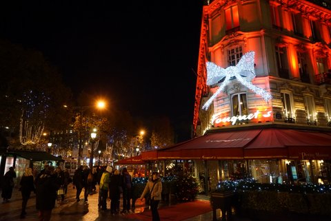 LED クリスマス シャンゼリゼ