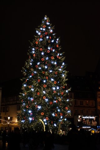 クリスマス・ツリー発祥地ストラスブール