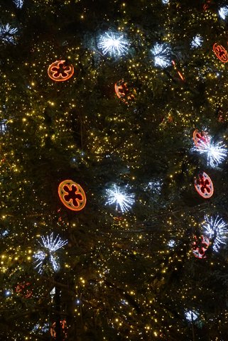 クリスマス・ツリー発祥地ストラスブール