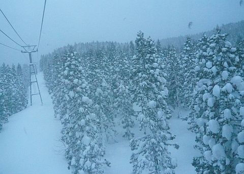 ゴンドラからの眺め