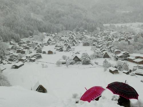 待ちに待った冬休み １