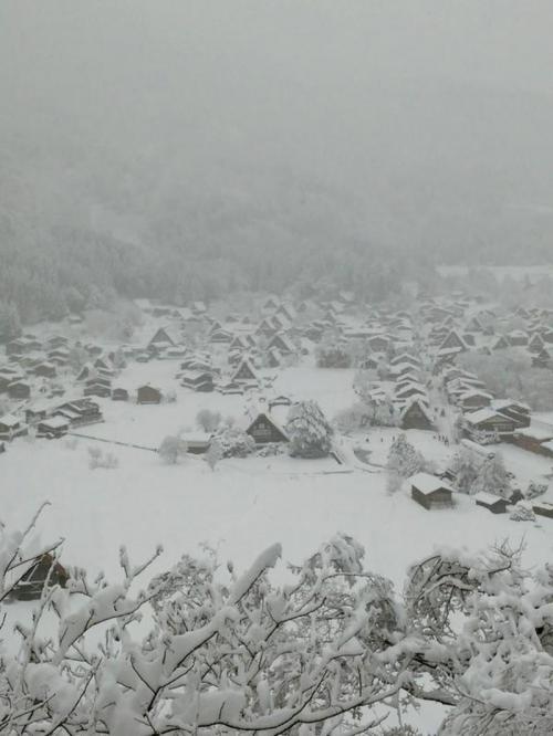 待ちに待った冬休み ２