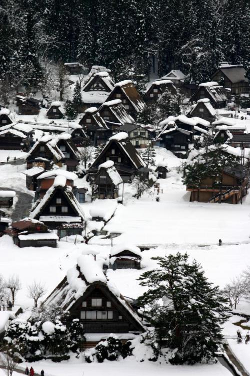 寒い〜温泉が気持良い季節になりました１