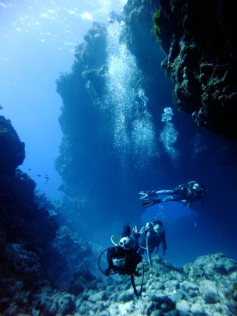 サイパン ダイビングライセンス