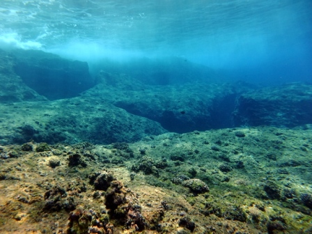 サイパン 体験ダイビング