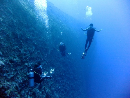 サイパン ダイビングライセンス
