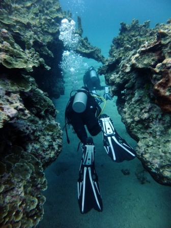 サイパン 体験ダイビング