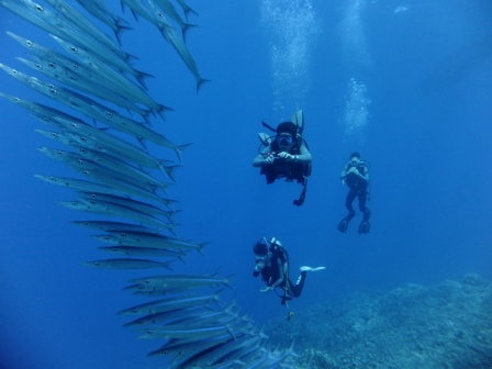 サイパン ダイビングショップ