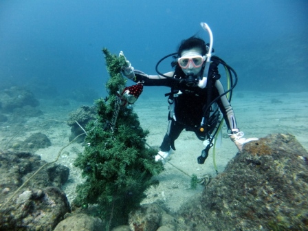 サイパン ダイビングショップ