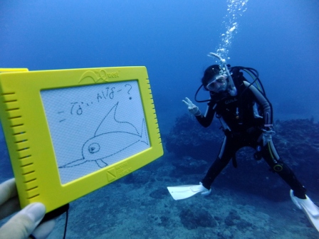 サイパン ダイビング