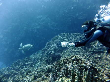 サイパン ダイビング