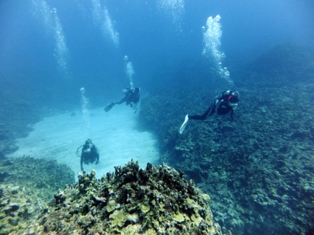 サイパン 体験ダイビング