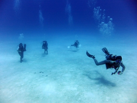 サイパン ダイビングライセンス