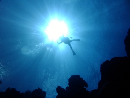 サイパン ダイビング