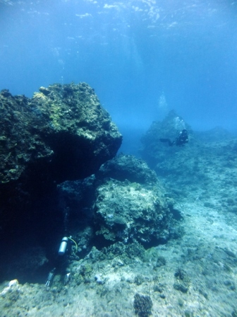 サイパン ダイビングライセンス