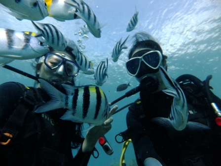 サイパン 体験ダイビング