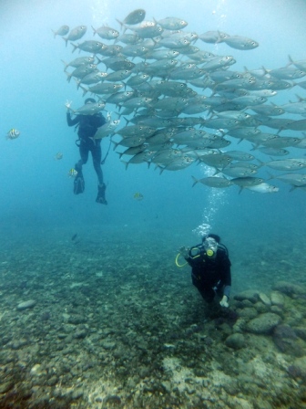 サイパン ダイビングライセンス