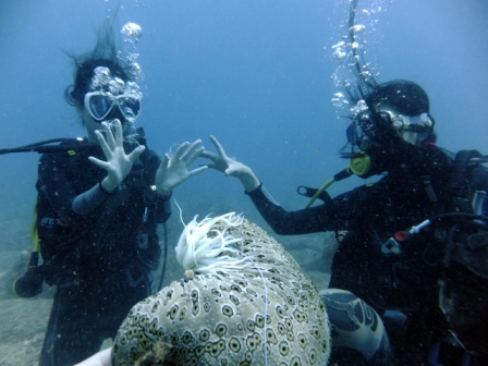 サイパン ダイビングショップ