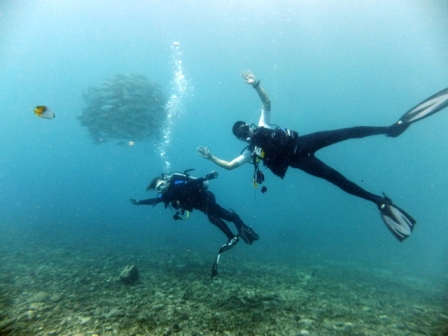 サイパン 体験ダイビング