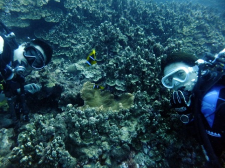 サイパン ダイビングライセンス