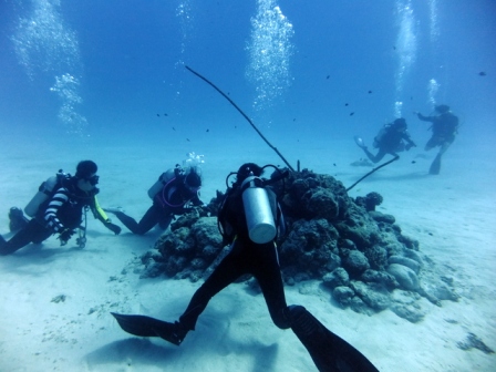 サイパン ダイビング