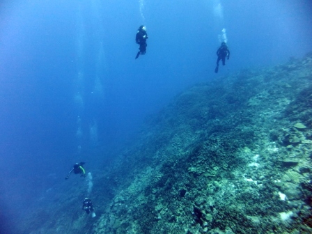 サイパン ダイビングライセンス