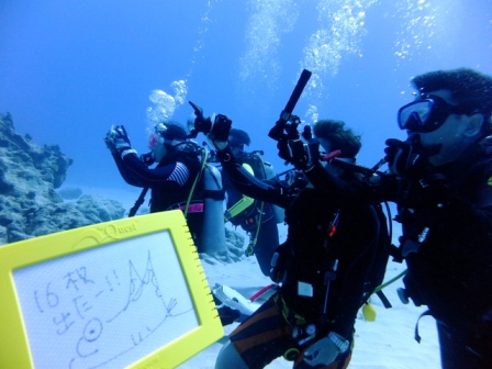 サイパン ダイビング