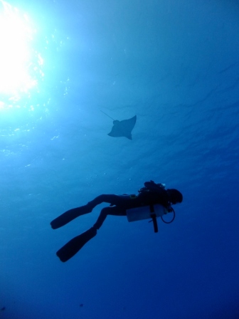 サイパン ダイビング