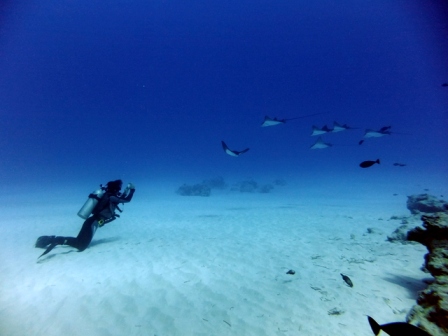 サイパン ダイビング