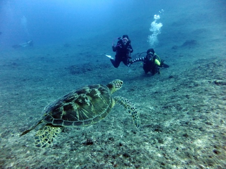 サイパン ダイビング