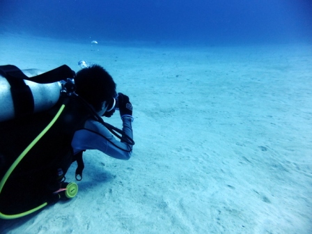 サイパン ダイビング