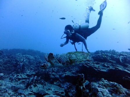 サイパン 体験ダイビング