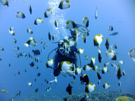 サイパン ダイビングライセンス